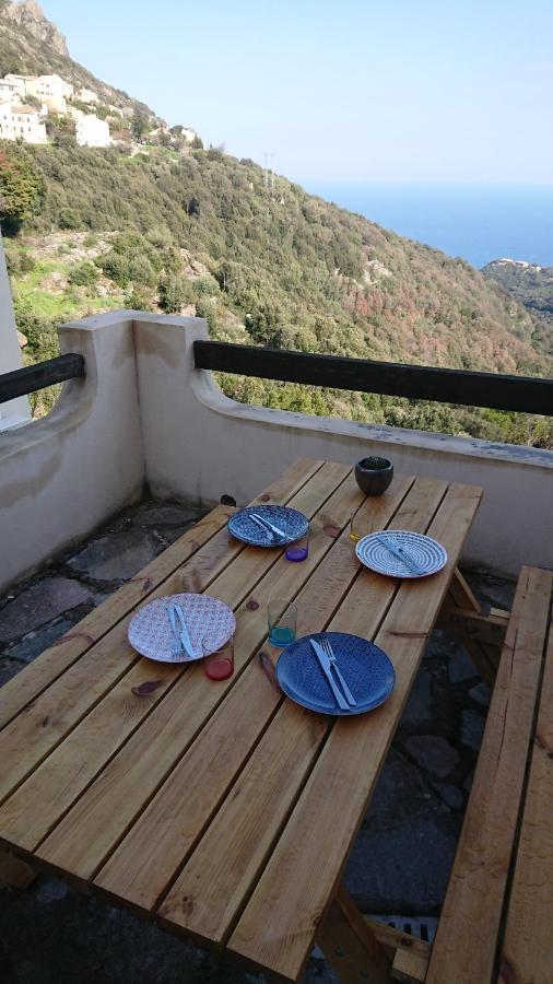 Ferienwohnung A Tana Di A Volpe Ville-di-Pietrabugno Exterior foto